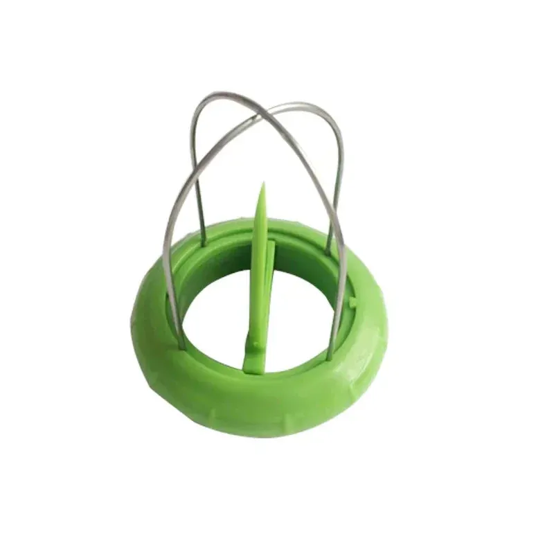 Fruit Lover Kiwi Cutter