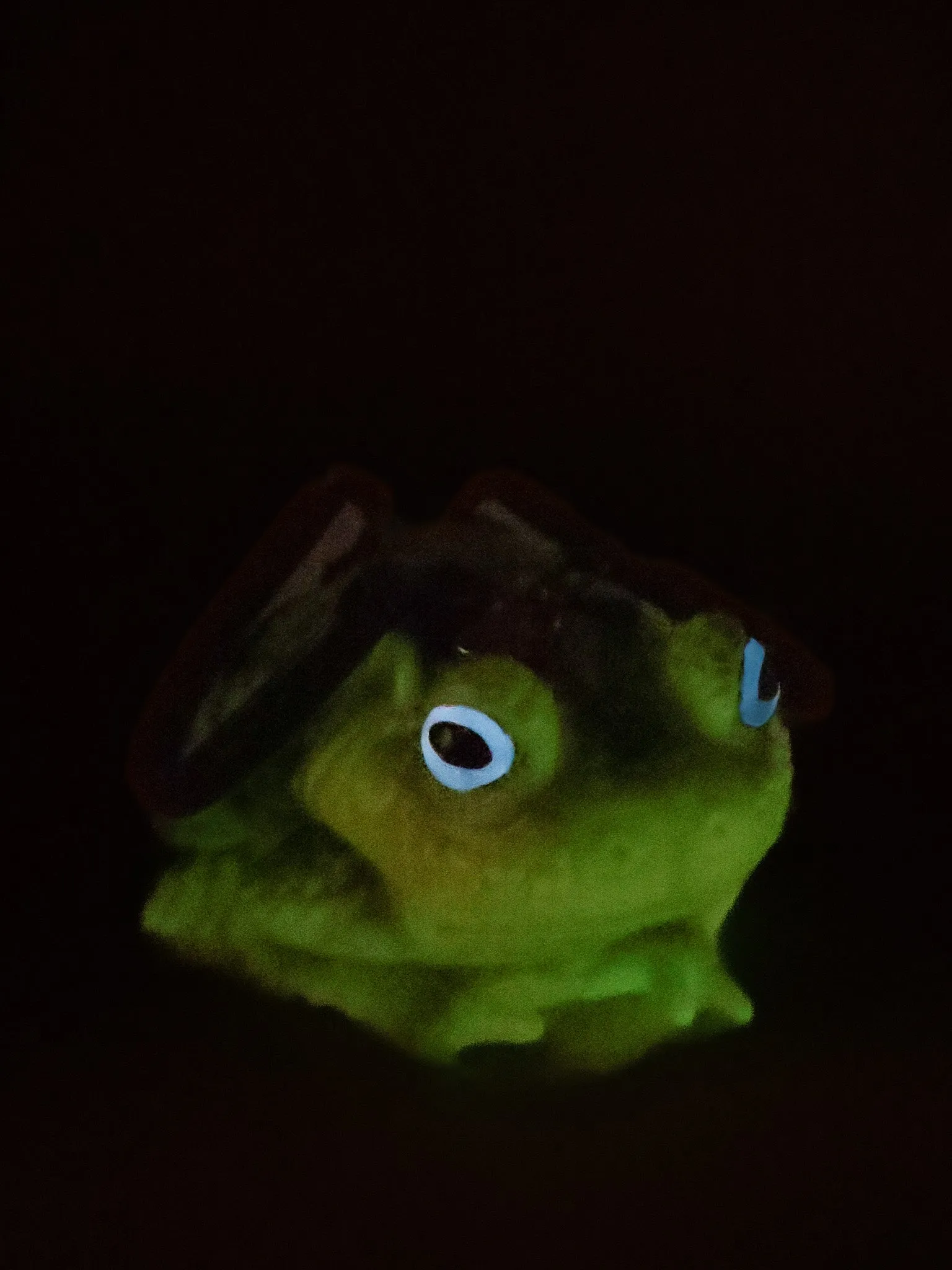 Green Glow Toad Bag- Lilac Eyes WINDY WILLOW