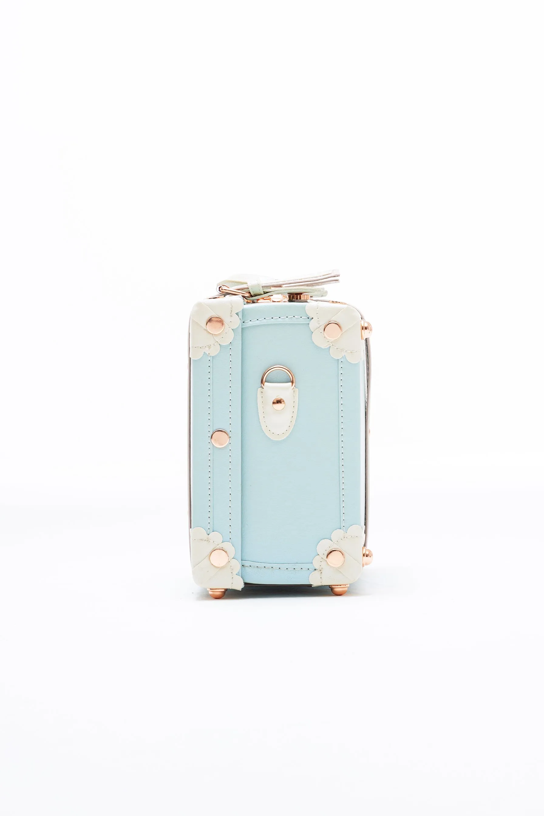 SarahFace Hand Case - Sky Blue's