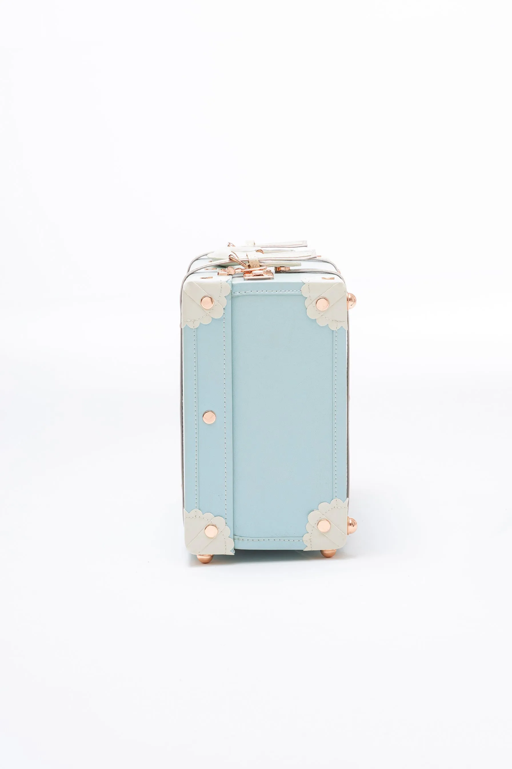 SarahFace Hand Case - Sky Blue's