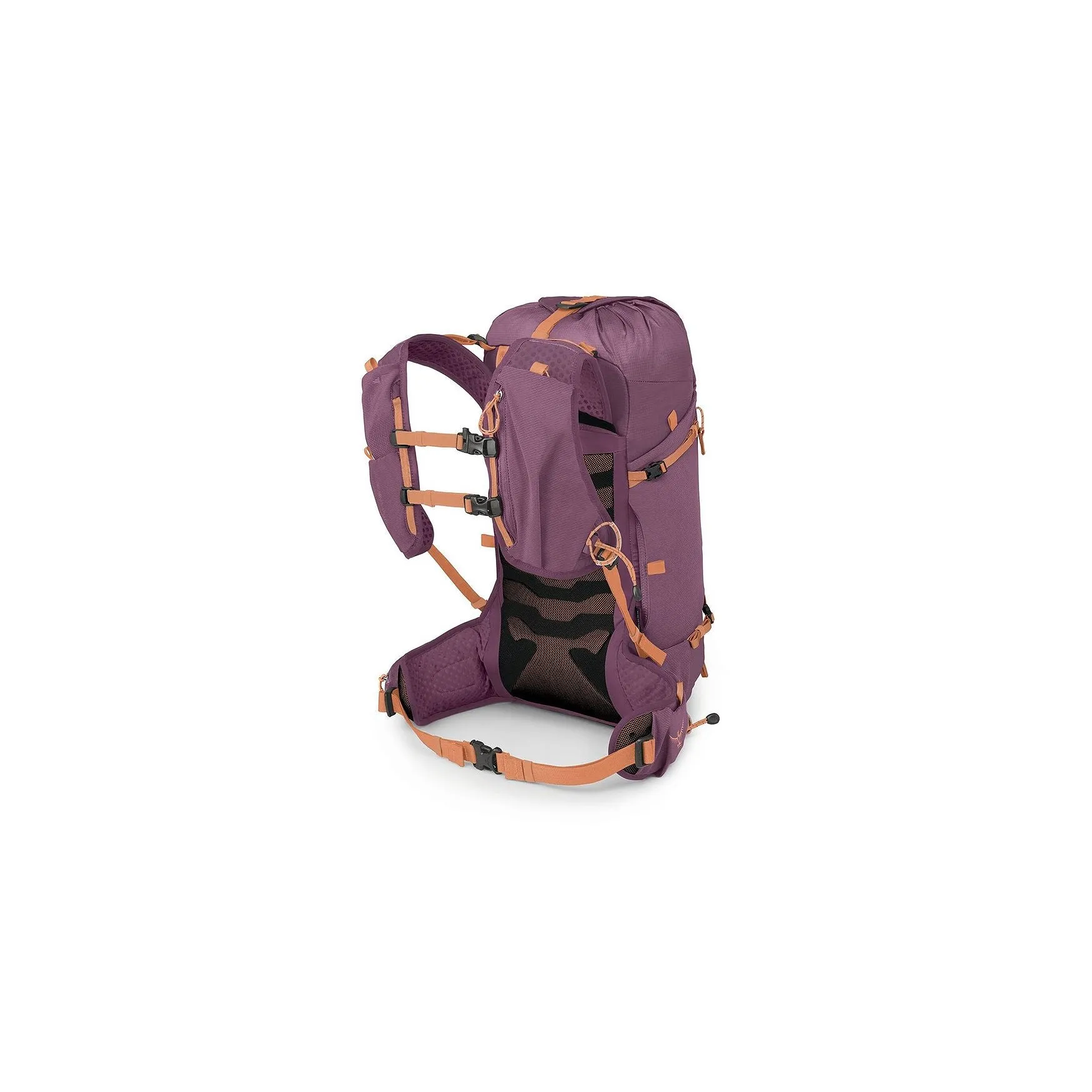 Tempest Velocity 20 Backpack (Women's)