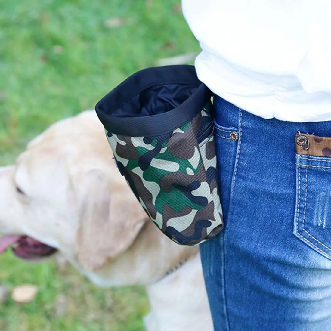 Training Treats Hip Bag