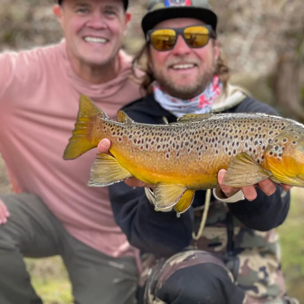 White River Trout Club Fly Fishing 2025